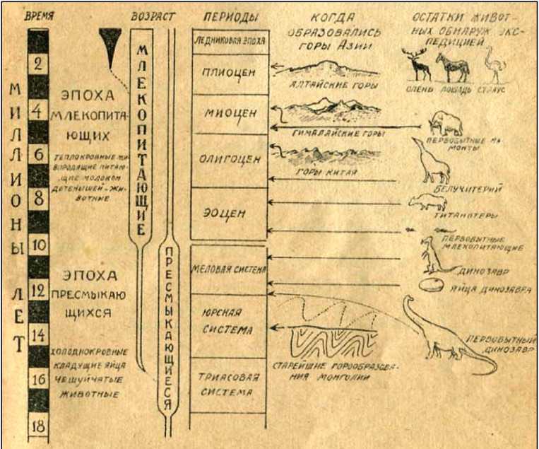 По следам динозавров - i_016.jpg