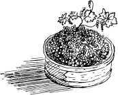 Малахитовая шкатулка(Уральские сказы. Илл. А.Н. Якобсон) - i_020.jpg