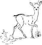 Малахитовая шкатулка(Уральские сказы. Илл. А.Н. Якобсон) - i_022.jpg