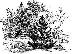 Малахитовая шкатулка(Уральские сказы. Илл. А.Н. Якобсон) - i_024.jpg