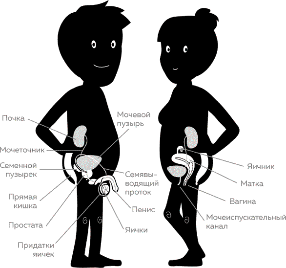 Мужское здоровье. Как у вас с ним? - i_001.png