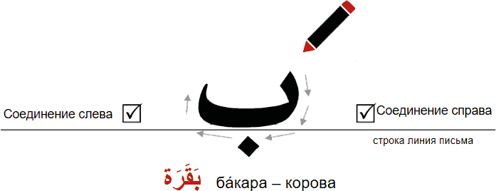 Арабское чтение и письмо. Пропись - _11.png