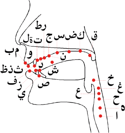 Арабское чтение и письмо. Пропись - _3.png