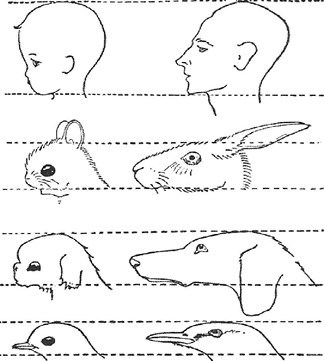 Изображение. Курс лекций - b00000112.jpg