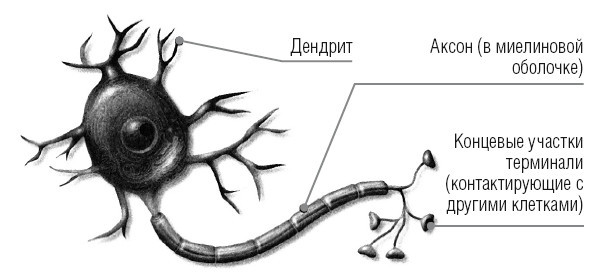 Сила мысли. Поменяйте ход своих мыслей, измените свою жизнь - i_002.jpg