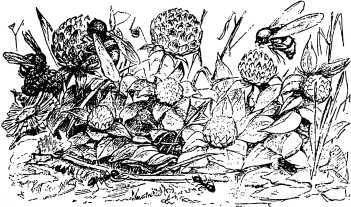 Рассказы и сказки русских писателей - i_011.jpg