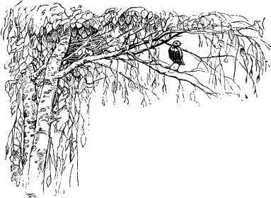 Рассказы и сказки русских писателей - i_013.jpg