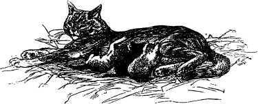 Рассказы и сказки русских писателей - i_016.jpg