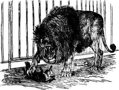 Рассказы и сказки русских писателей - i_018.jpg