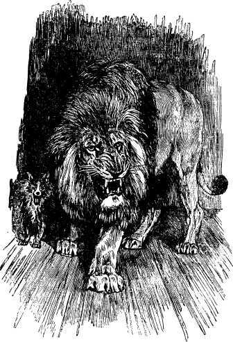 Рассказы и сказки русских писателей - i_019.jpg