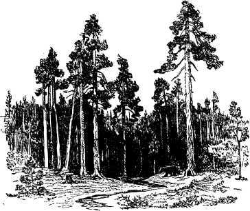 Рассказы и сказки русских писателей - i_022.jpg