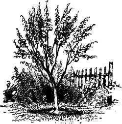 Рассказы и сказки русских писателей - i_026.jpg