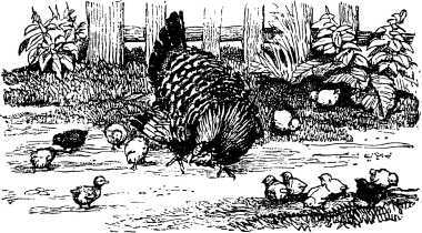 Рассказы и сказки русских писателей - i_030.jpg