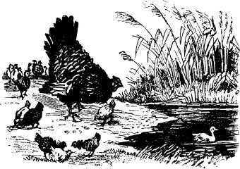 Рассказы и сказки русских писателей - i_031.jpg