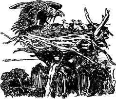 Рассказы и сказки русских писателей - i_032.jpg