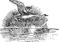 Рассказы и сказки русских писателей - i_035.jpg