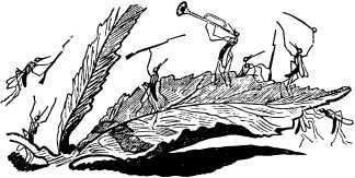 Рассказы и сказки русских писателей - i_038.jpg