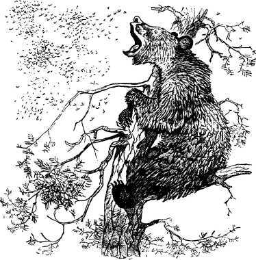 Рассказы и сказки русских писателей - i_041.jpg