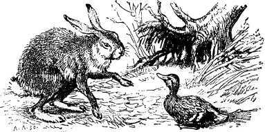 Рассказы и сказки русских писателей - i_049.jpg