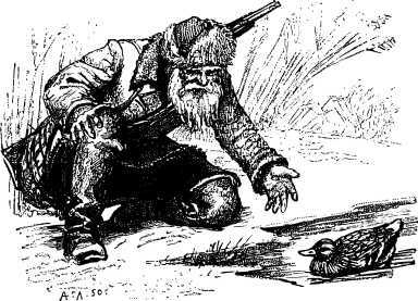 Рассказы и сказки русских писателей - i_051.jpg