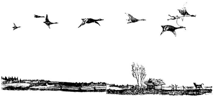 Рассказы и сказки русских писателей - i_055.jpg