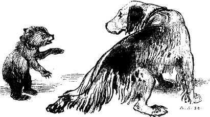 Рассказы и сказки русских писателей - i_059.jpg