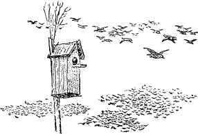 Рассказы и сказки русских писателей - i_067.jpg