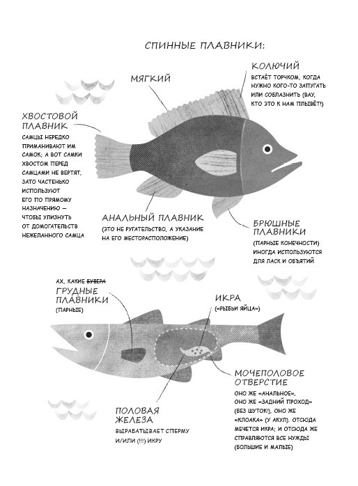 Секс в океане или Тайна зарождения жизни - i_001.jpg