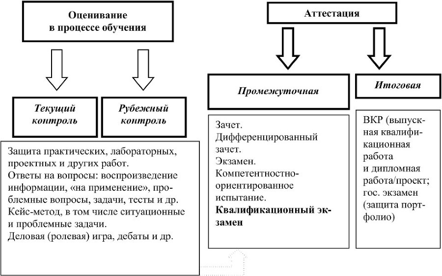 Оценивание образовательных результатов студентов педагогических направлений в рамках прикладного бакалавриата - b00000149.jpg