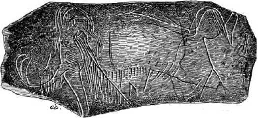 Первый художник: Повесть из времен каменного века<br />(В дали времен. Том V ) - i_022.jpg