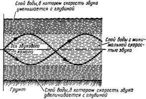 Звуки в морских глубинах - i_027.jpg