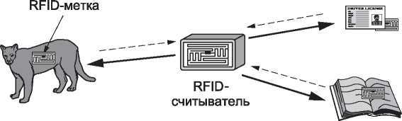 Компьютерные сети. 5-е издание - _36.jpg