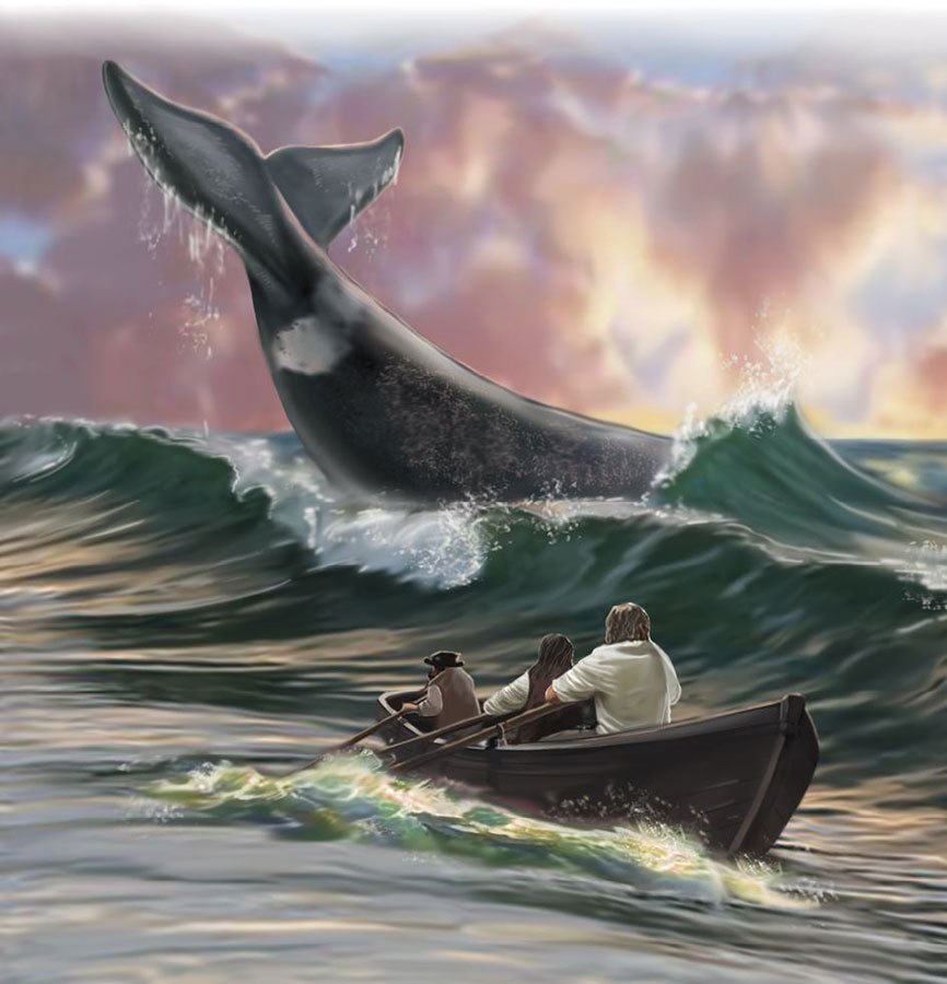Дельфины и киты - i_001.jpg