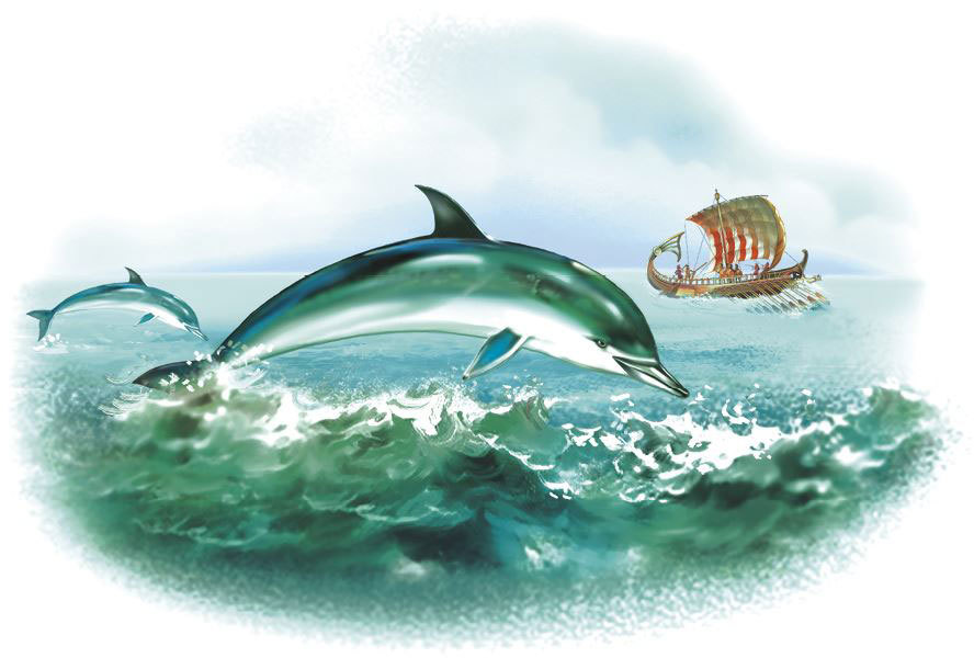 Дельфины и киты - i_002.jpg