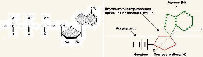 Древние пирамиды – ключ к познанию мироздания - i_005.jpg