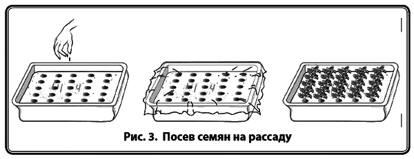 Энциклопедия начинающего огородника и садовода в картинках - i_004.png