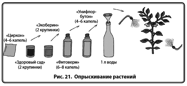 Энциклопедия начинающего огородника и садовода в картинках - i_023.png