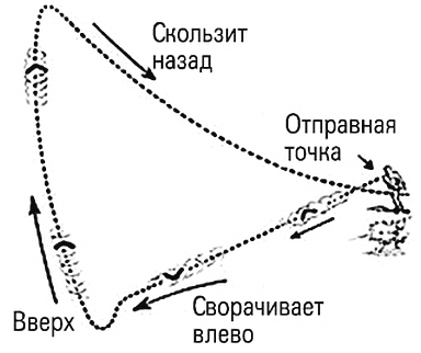 Квантовая биомеханика тела. Методика оздоровления опорно-двигательного аппарата человека. Часть III - i_011.jpg