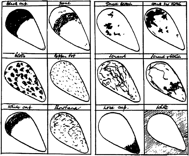 Самая совершенная вещь на свете - i_001.png