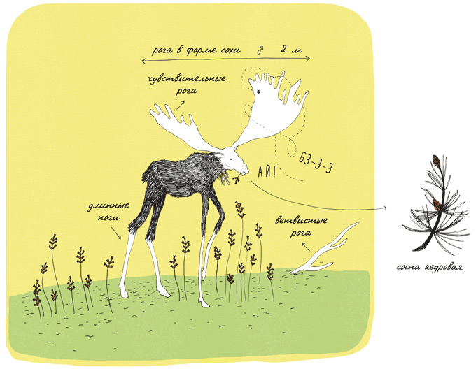 Может ли жираф облизать свои уши? - i_017.png