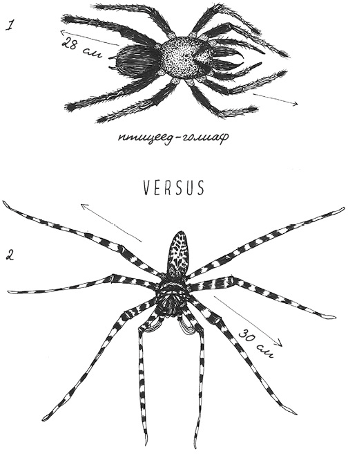 Может ли жираф облизать свои уши? - i_034.png