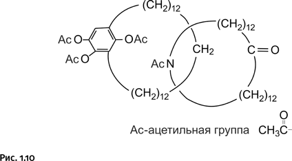 Карнавал молекул. Химия необычная и забавная - i_010.png