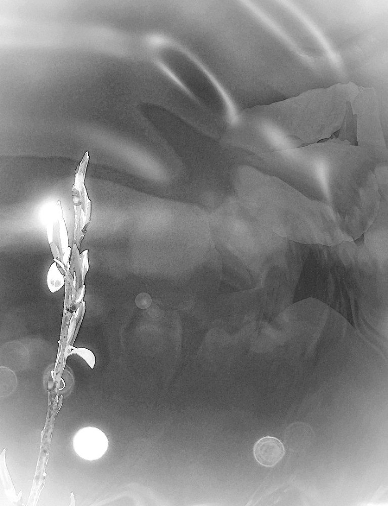 Дом на камне - _1.jpg