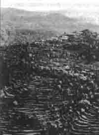 Трагическое послание древних - any2fbimgloader109.jpeg