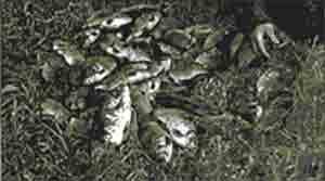 Трагическое послание древних - any2fbimgloader11.jpeg