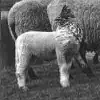 Трагическое послание древних - any2fbimgloader130.jpeg