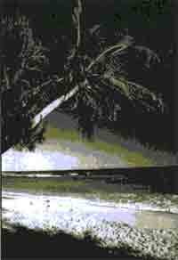 Трагическое послание древних - any2fbimgloader152.jpeg