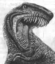 Трагическое послание древних - any2fbimgloader200.jpeg