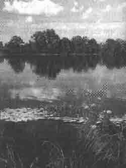 Трагическое послание древних - any2fbimgloader211.jpeg