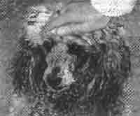 Трагическое послание древних - any2fbimgloader216.jpeg